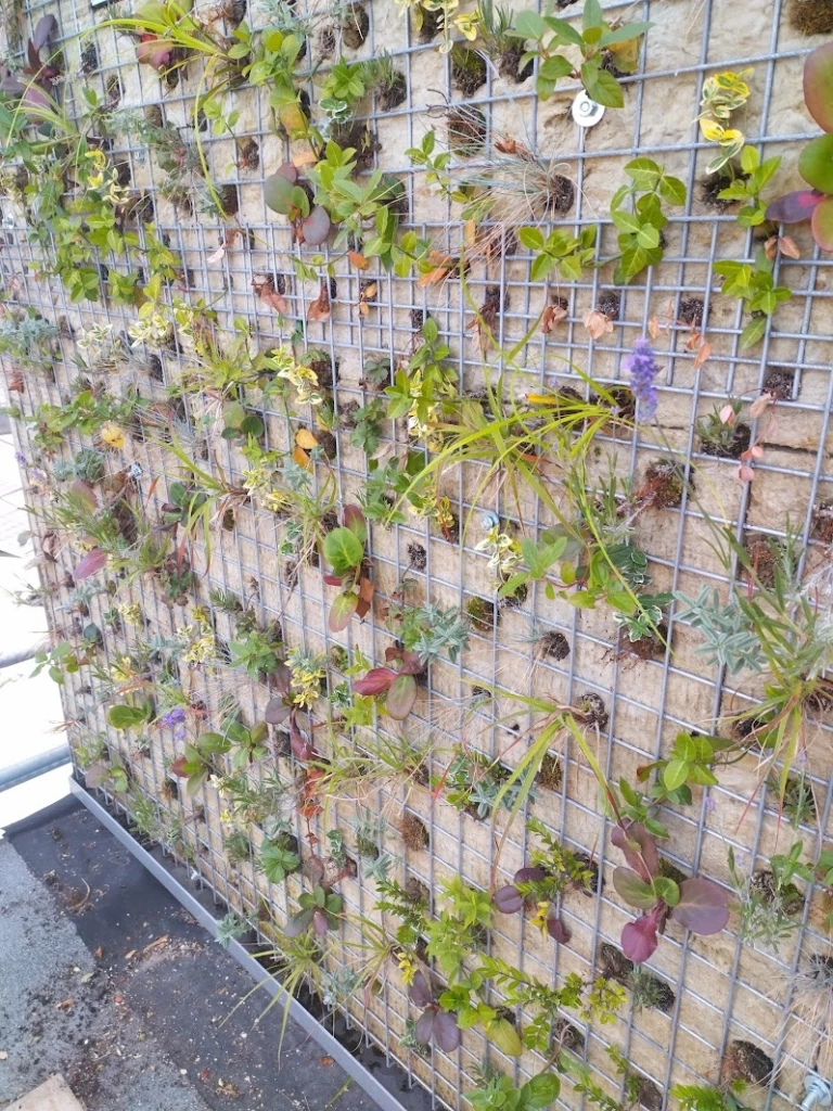 Plantwall