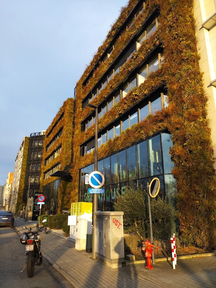 Over Plant