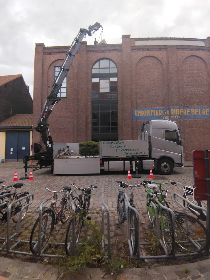 Je groendak rechtstreeks op het dak geleverd