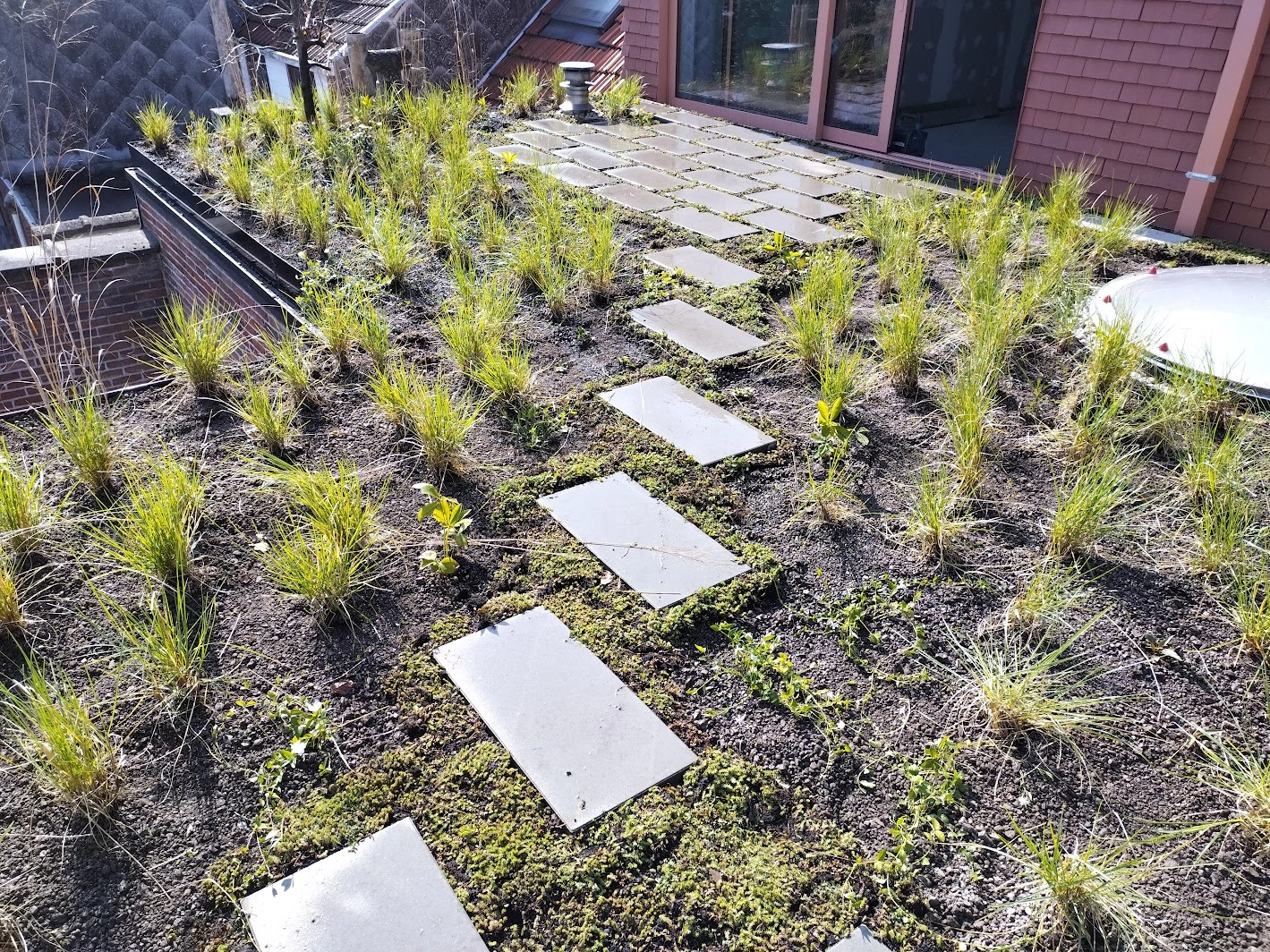 Natuurdak laten aanleggen met ecologische meerwaarde